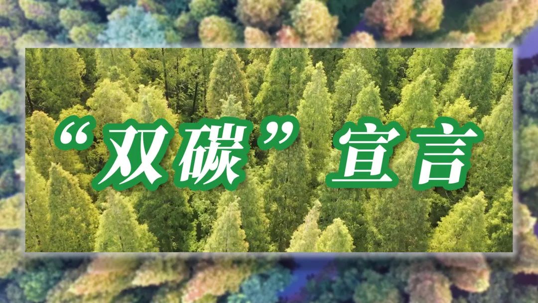 喜报：易司拓获评2021年江苏省“数动双碳”融合创新中心